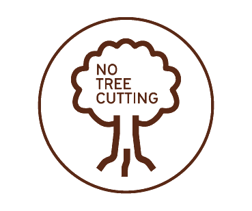No Tree Cutting